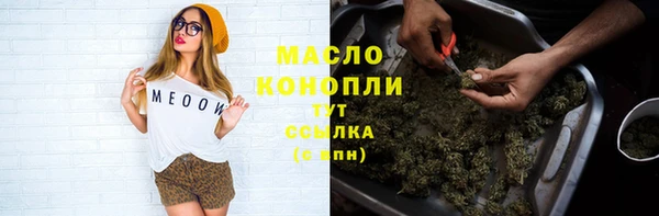 молекула духа Мегион