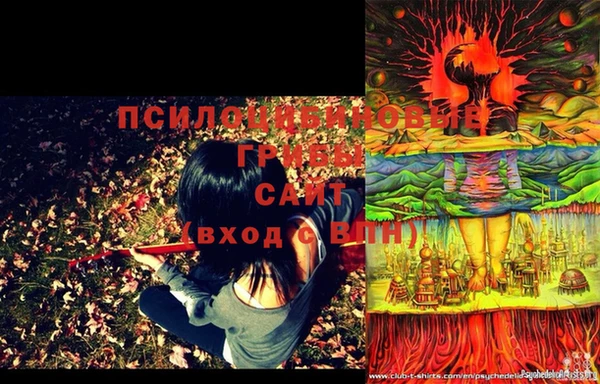 дурь Михайлов