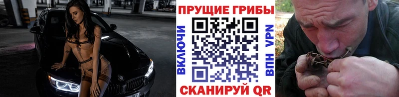 где купить наркоту  Певек  ссылка на мегу рабочий сайт  Псилоцибиновые грибы Cubensis 